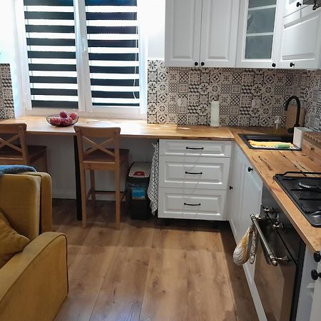 Apartament "Konie I Anioly" Boguszów-Gorce エクステリア 写真