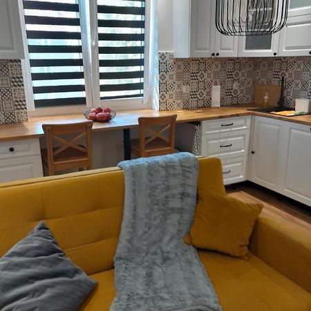 Apartament "Konie I Anioly" Boguszów-Gorce エクステリア 写真