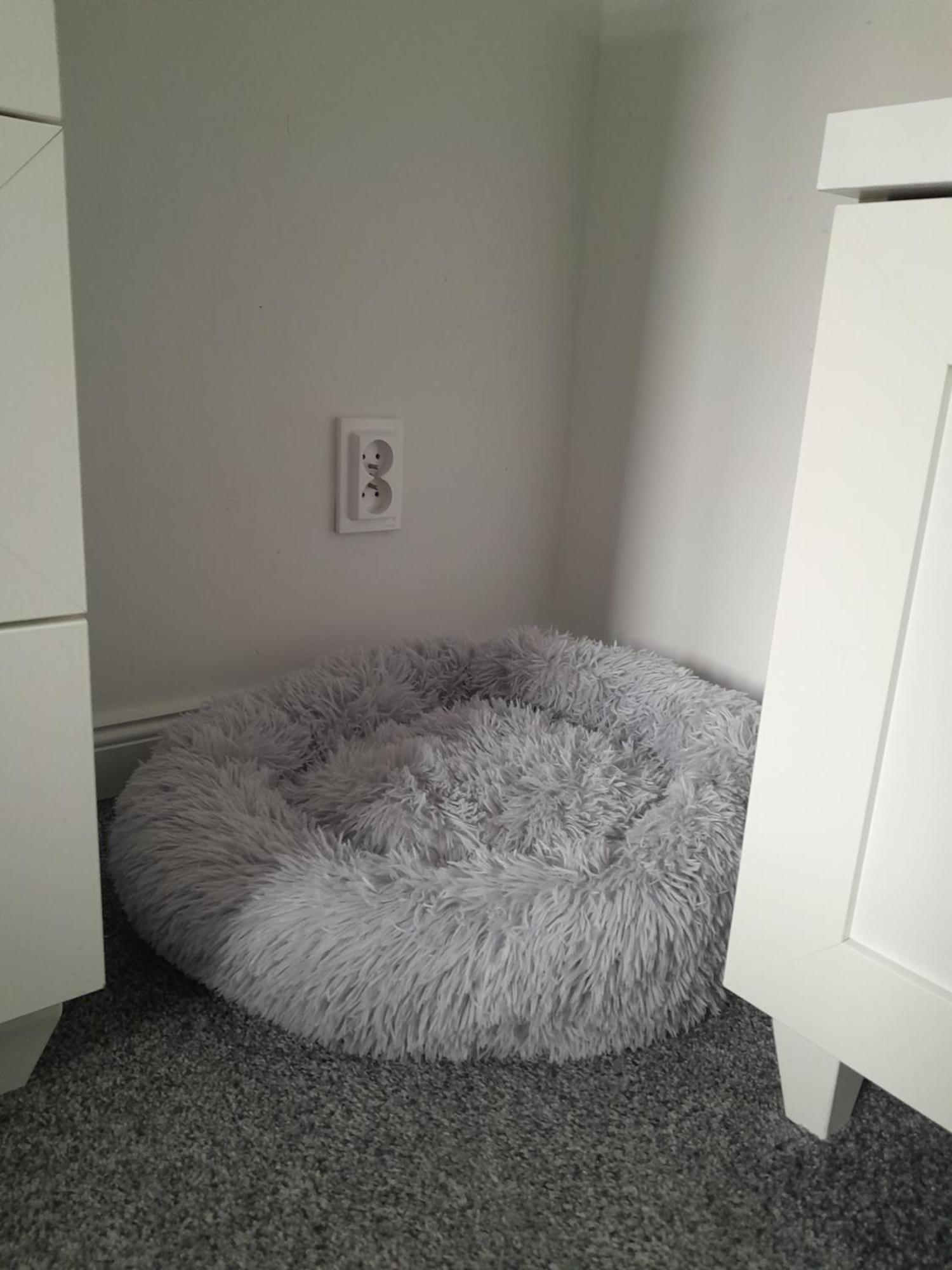 Apartament "Konie I Anioly" Boguszów-Gorce エクステリア 写真